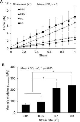 Mechanical Properties of Isolated Primary Cilia Measured by Micro-tensile Test and Atomic Force Microscopy